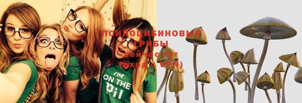 дурь Белокуриха