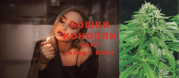 метадон Гусев