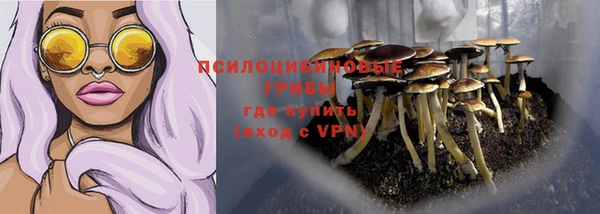 гидропоника Богородск