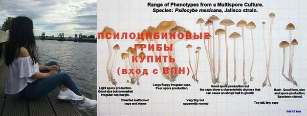 мдпв Беломорск