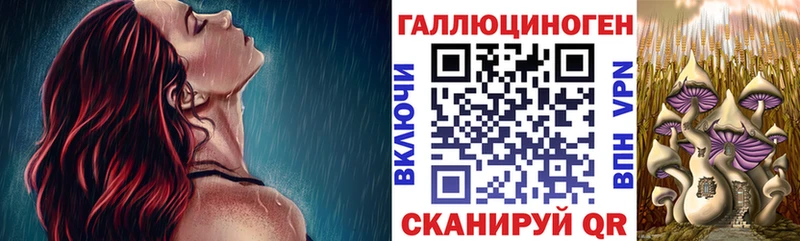 наркотики  Надым  Псилоцибиновые грибы мицелий 